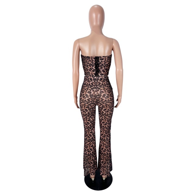 Leopard Printed Tube Top Long Pant Set