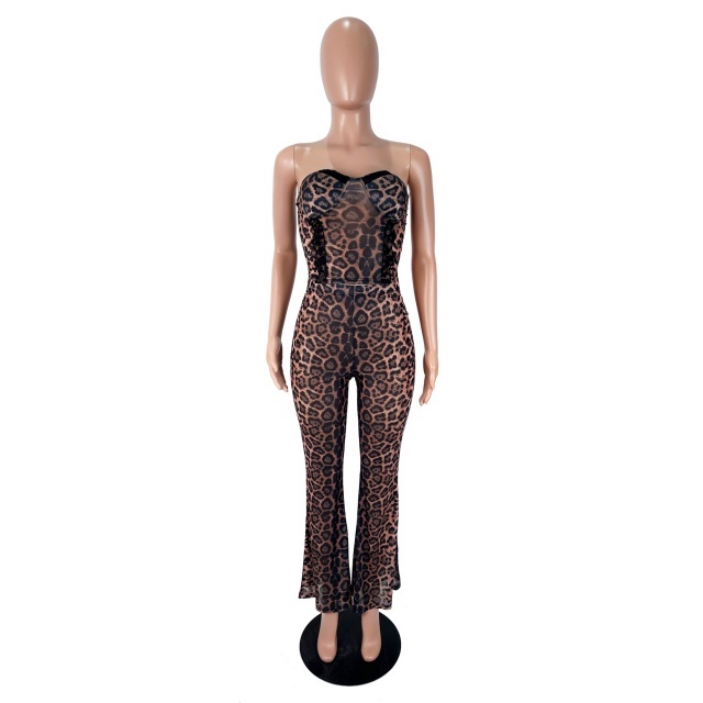 Leopard Printed Tube Top Long Pant Set