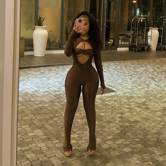 Long Sleeve Hollow Out Fitted Jumpsuit