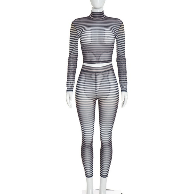 Sheer Mesh Striped High Crop Top Skinny Legging Set