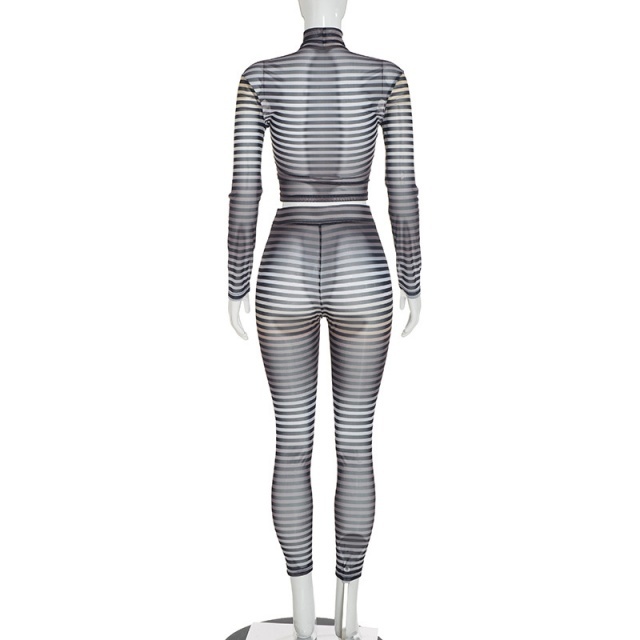Sheer Mesh Striped High Crop Top Skinny Legging Set