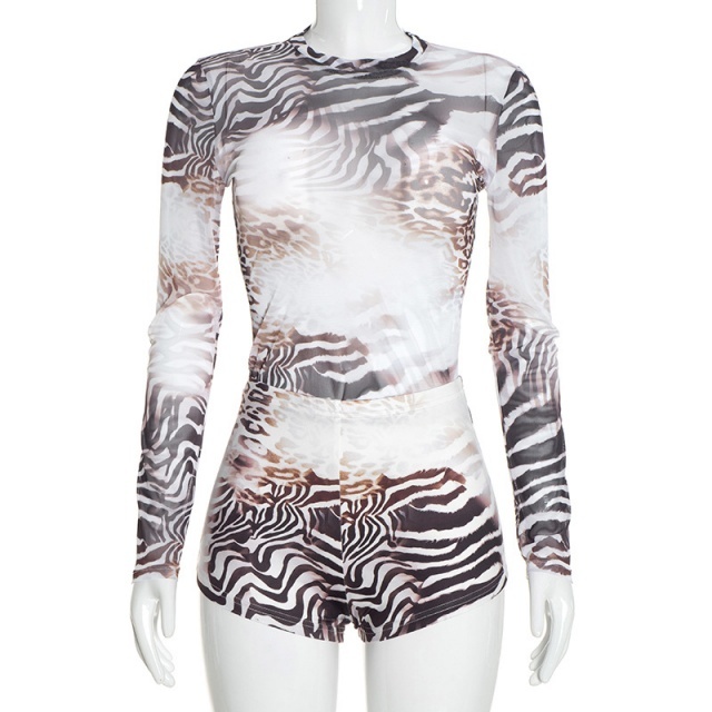 Printed Sheer Mesh Long Sleeve Top Fitted Short Set