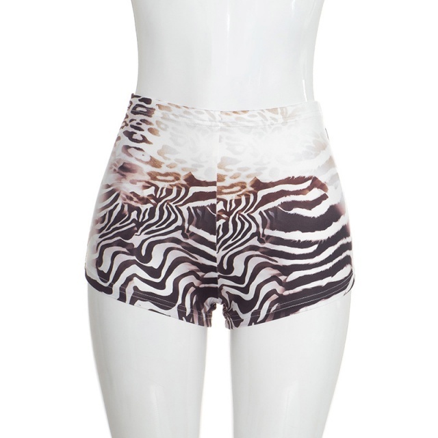 Printed Sheer Mesh Long Sleeve Top Fitted Short Set