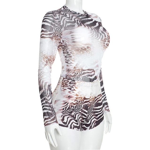 Printed Sheer Mesh Long Sleeve Top Fitted Short Set