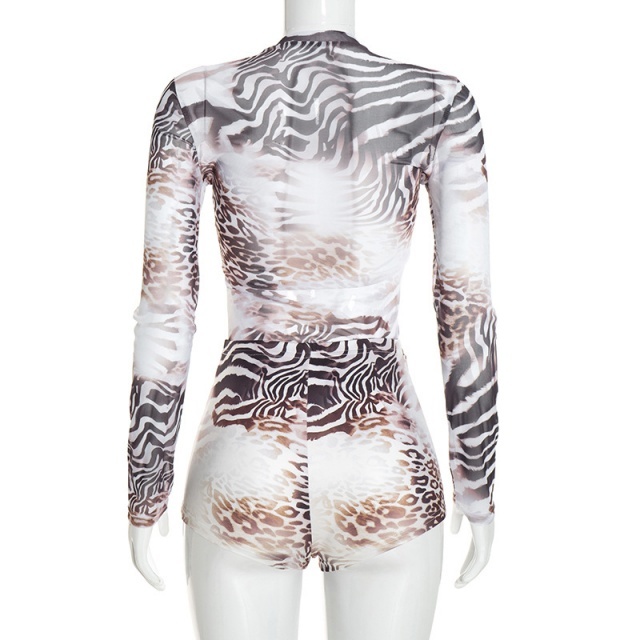 Printed Sheer Mesh Long Sleeve Top Fitted Short Set
