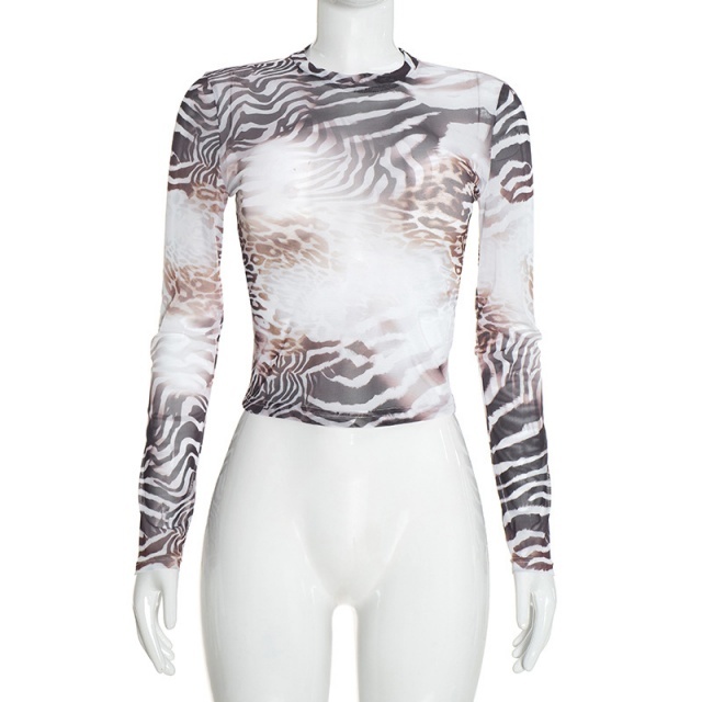 Printed Sheer Mesh Long Sleeve Top Fitted Short Set