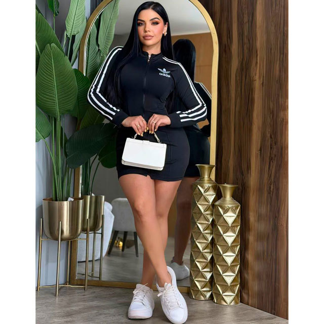 Zipper Long Sleeve Bodycon Sport Dress