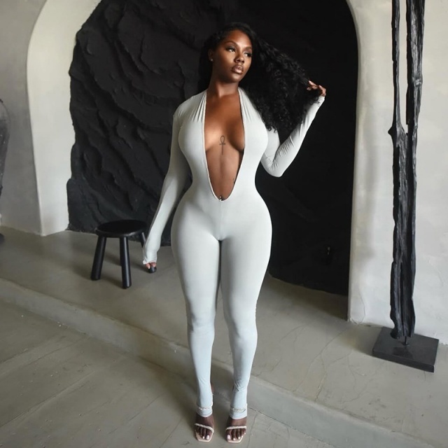 Basic Style Plunging V Neck Tight Jumpsuit