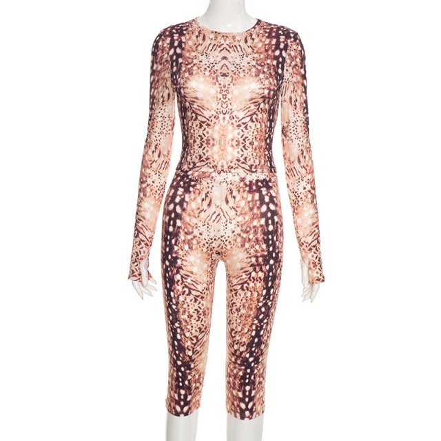 Printed O Neck Long Sleeve Top Midi Pant Set