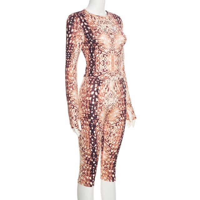 Printed O Neck Long Sleeve Top Midi Pant Set
