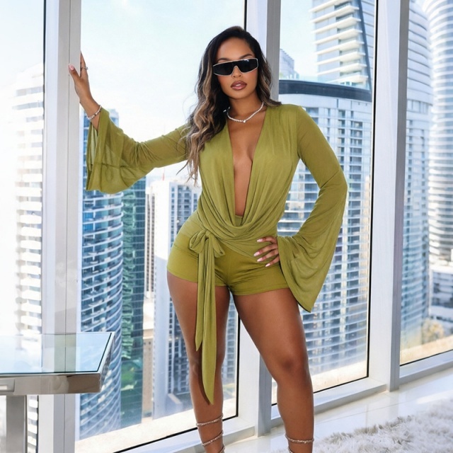 Sheer Mesh V Neck Backless Fitted Romper