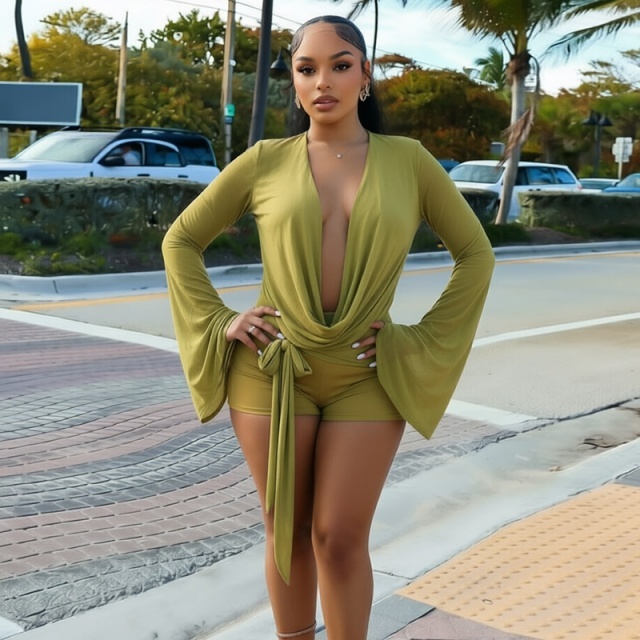 Sheer Mesh V Neck Backless Fitted Romper