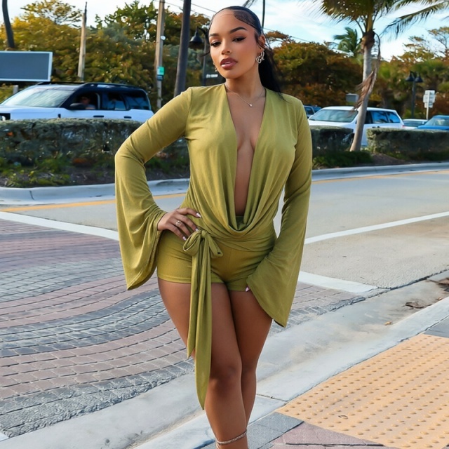 Sheer Mesh V Neck Backless Fitted Romper