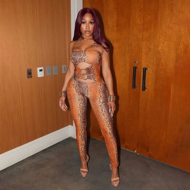Strapless Hollow Out Snake Printed Jumpsuit