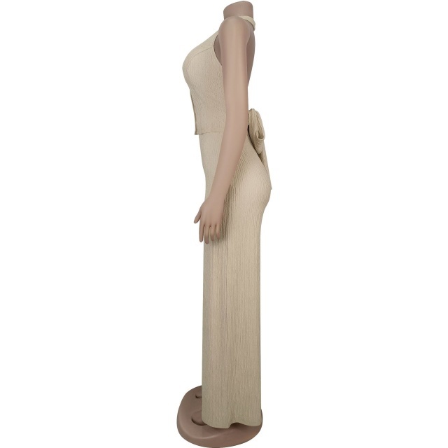 Hatler Neck Backless Wide Legs Pant Set