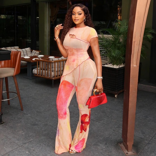Sheer Mesh Floral Printed Two Pieces Pant Set