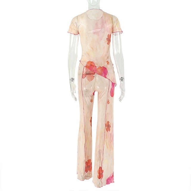 Sheer Mesh Floral Printed Two Pieces Pant Set