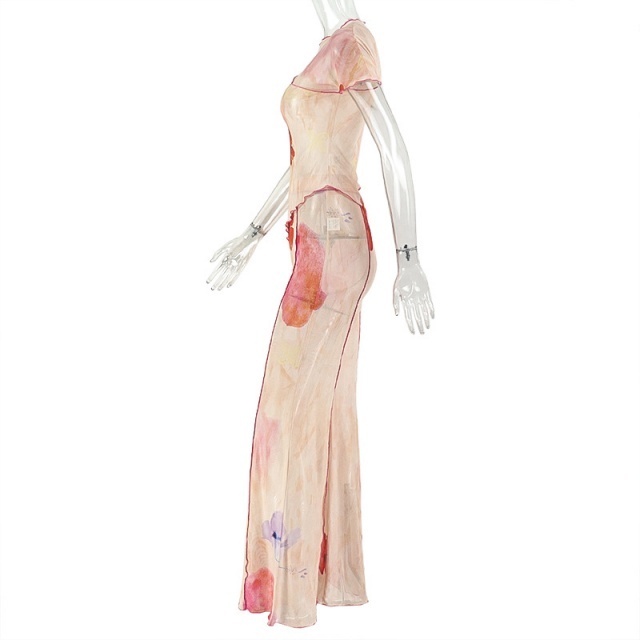 Sheer Mesh Floral Printed Two Pieces Pant Set