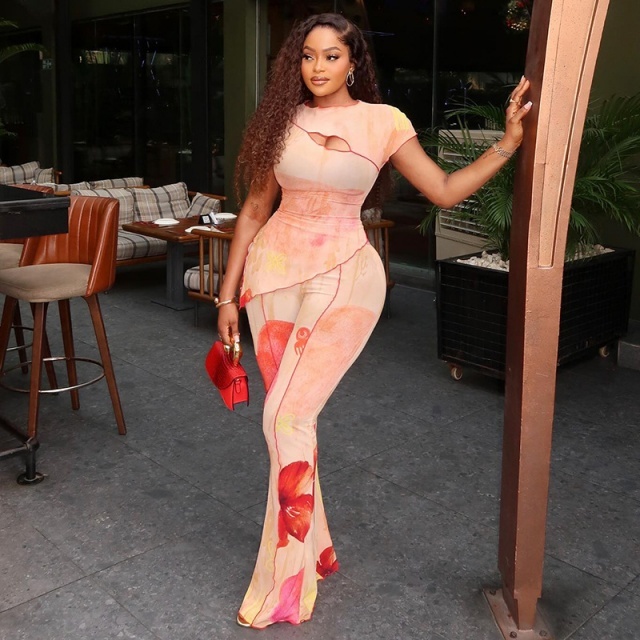 Sheer Mesh Floral Printed Two Pieces Pant Set