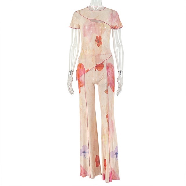 Sheer Mesh Floral Printed Two Pieces Pant Set