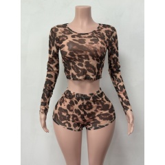 Leopard