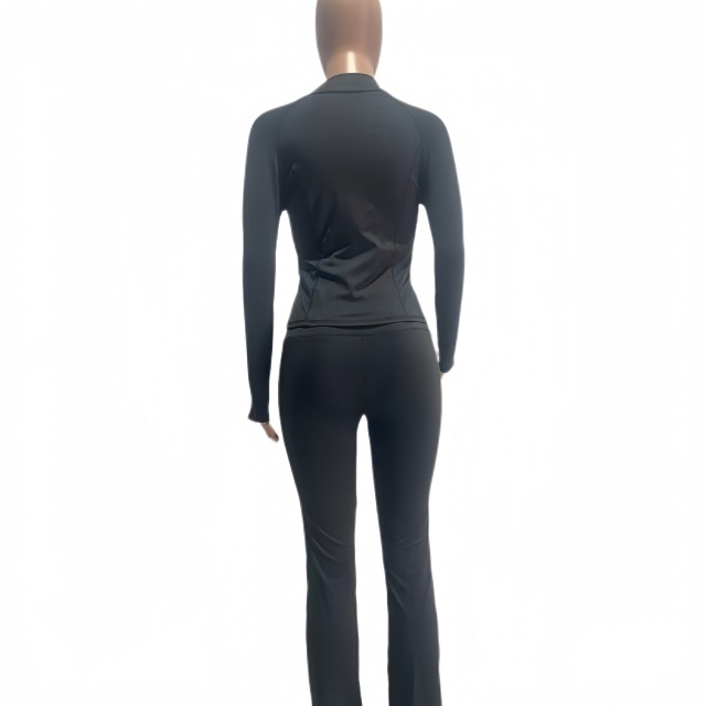 Fashion Basic Zipper Fall Tracksuit Set