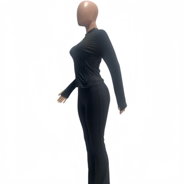 Fashion Basic Zipper Fall Tracksuit Set