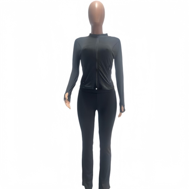 Fashion Basic Zipper Fall Tracksuit Set