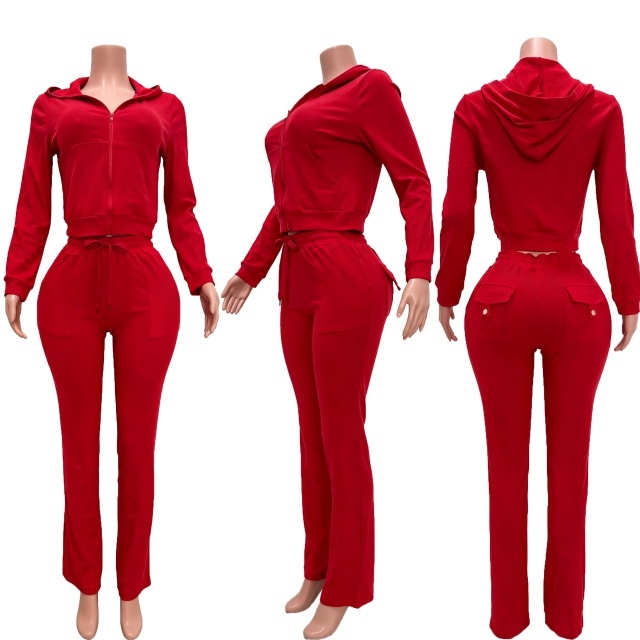 Solid Color Thermal Fleece Pocketed Pant Set