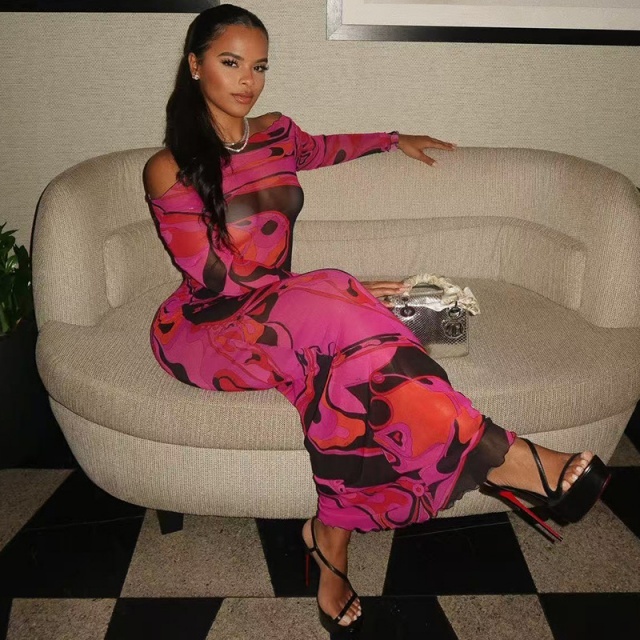 Contrast Color Printed Sheer Mesh Maxi Dress