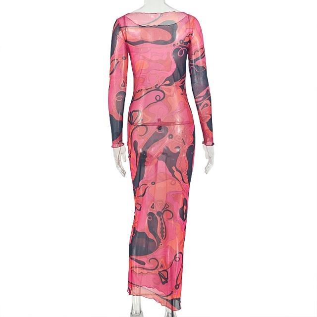 Contrast Color Printed Sheer Mesh Maxi Dress