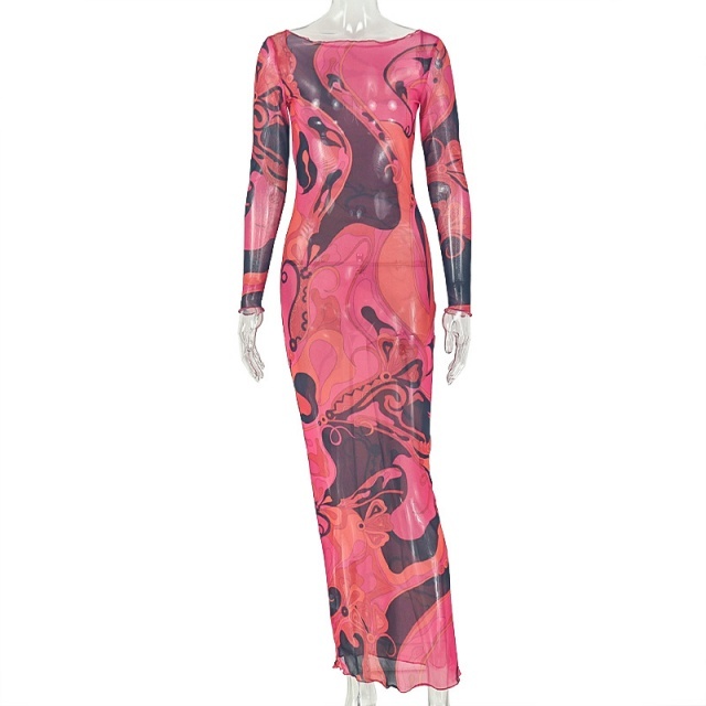 Contrast Color Printed Sheer Mesh Maxi Dress