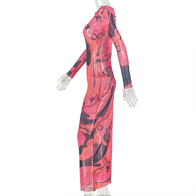 Contrast Color Printed Sheer Mesh Maxi Dress