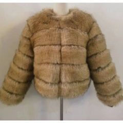 Raccoon color