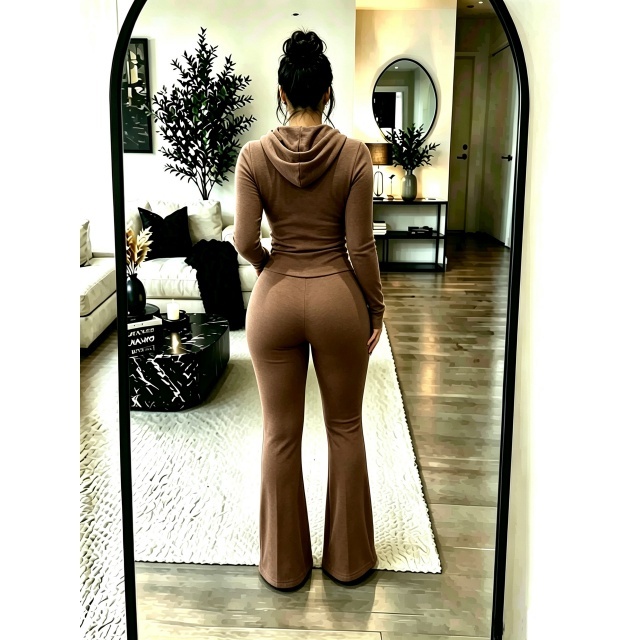 Solid Color Hooded Top Flare Pant Set
