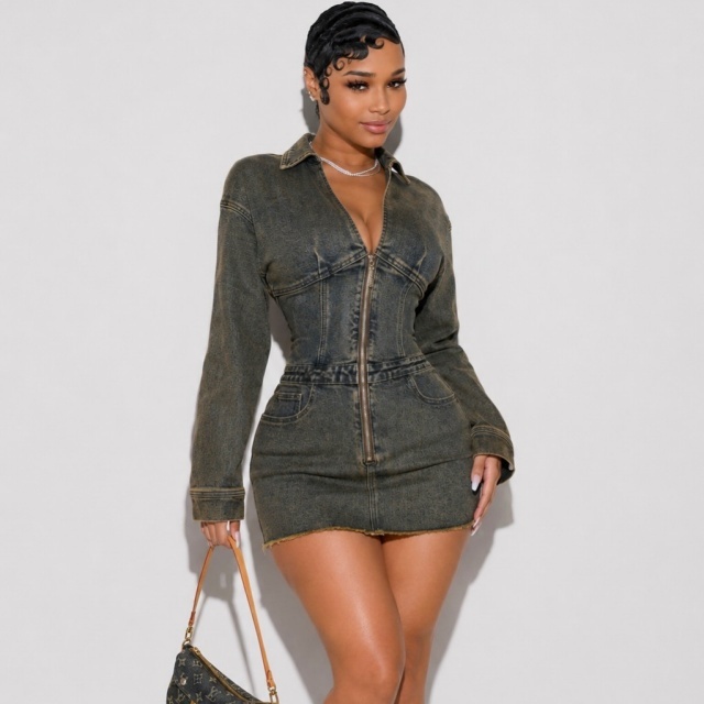 Vintage Style Zip-up Slim Denim Dress