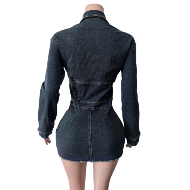 Vintage Style Zip-up Slim Denim Dress