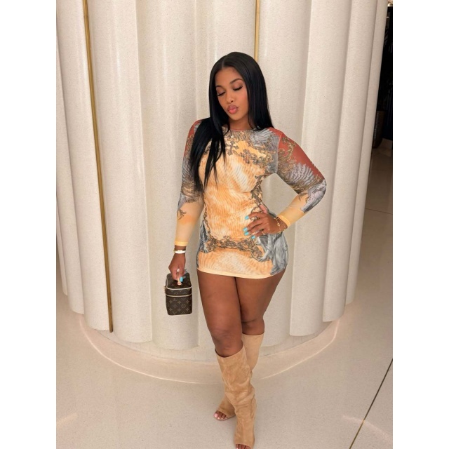 Vintage Printed Long-sleeve Slim Bodycon Dress