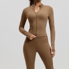 Cocoa color