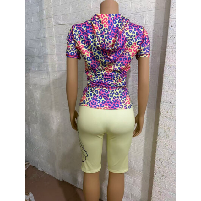 Gradient leopard Print Cropped Pants Set
