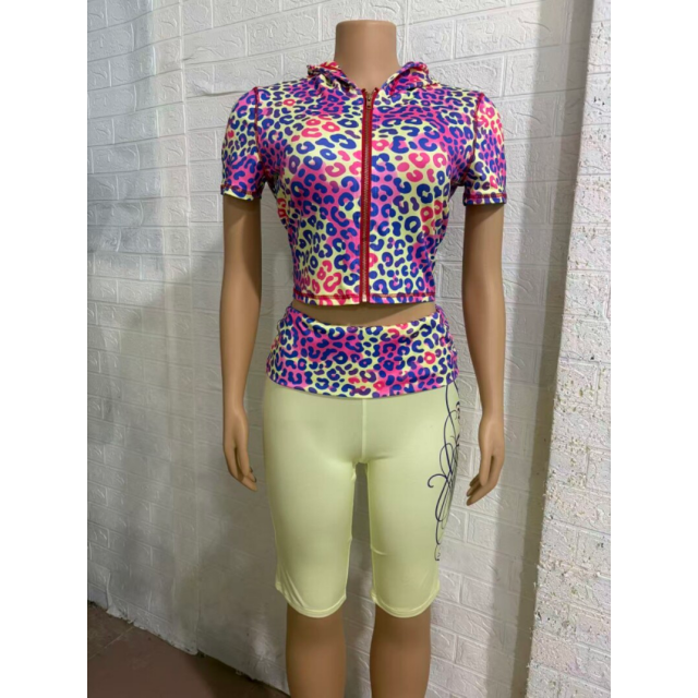 Gradient leopard Print Cropped Pants Set