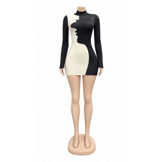 Colorblock High Neck Long Sleeve Bodycon Dress