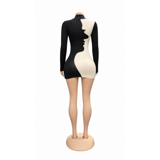 Colorblock High Neck Long Sleeve Bodycon Dress