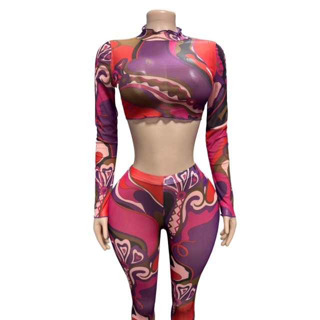 Mesh Printed Long Sleeve Top Legging Set