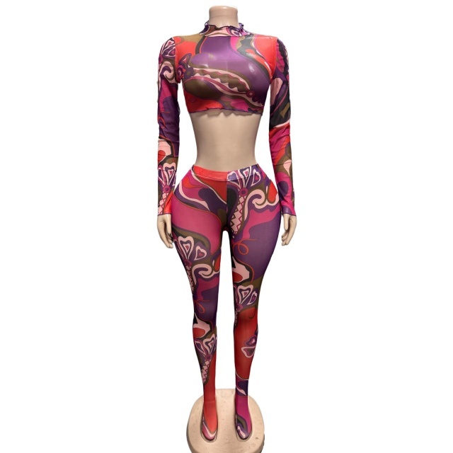 Mesh Printed Long Sleeve Top Legging Set