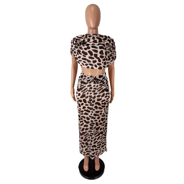 Mesh Leopard Print Slit Maxi Skirt Set