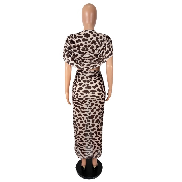 Mesh Leopard Print Slit Maxi Skirt Set