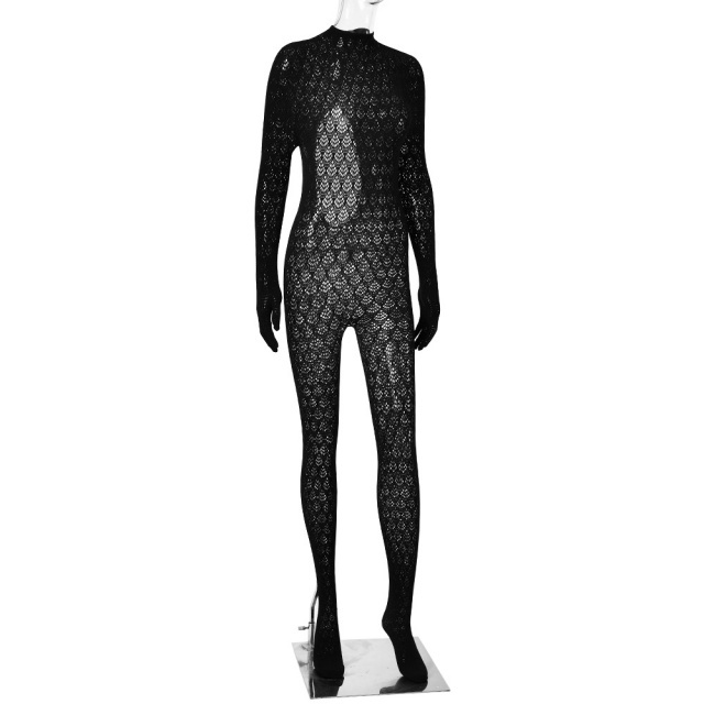 See Through Long Sleeve Backless Lingerie Jumpsuit