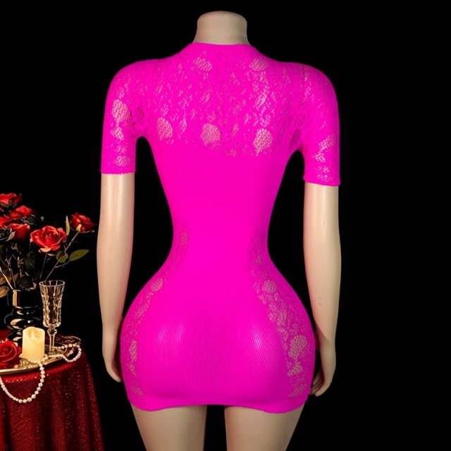 See Through Mesh Bodycon Lingerie Dress