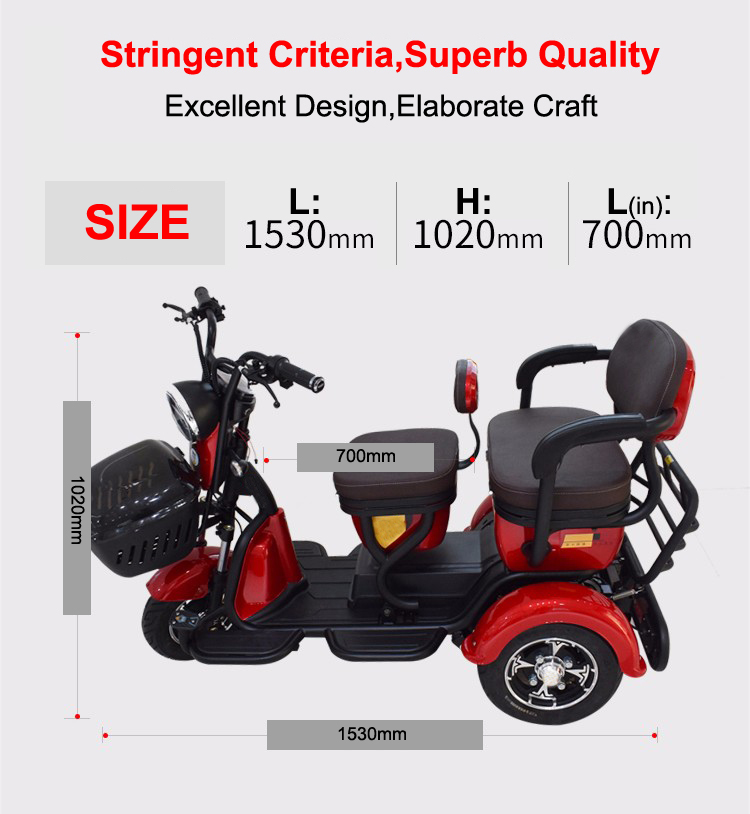 Electric Tricycle 3 Wheel Electric 
